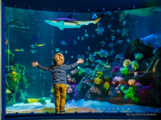 Aquarium_with_shark_in_Sea_Life_Berlin